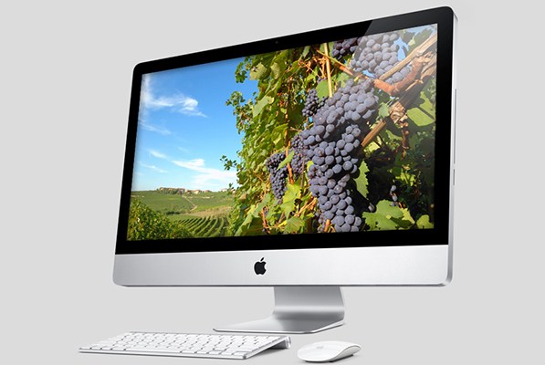 creation de site internet vins