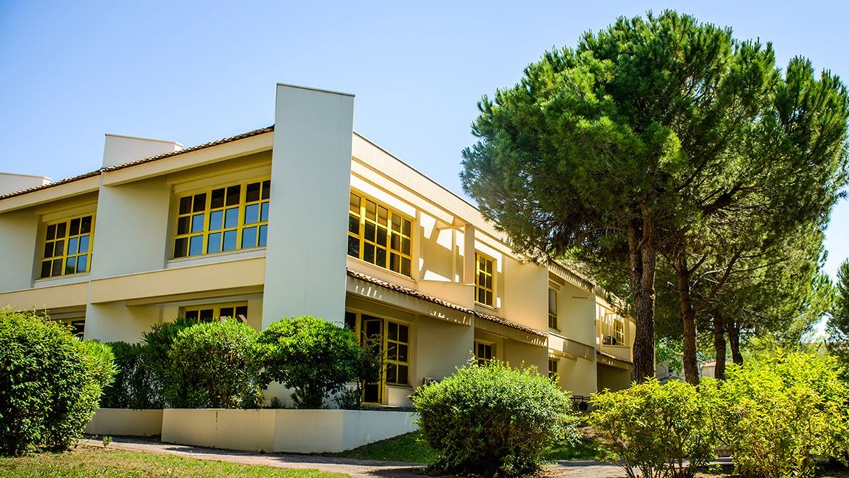 agence publicite montpellier millenaire