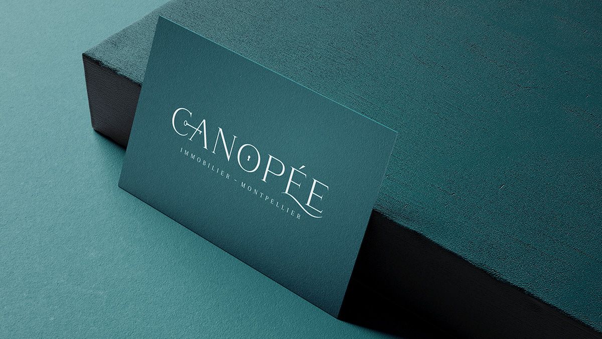 creation cartes de visiste agence immobiliere montpellier